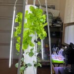 LED grow lights for seedlings