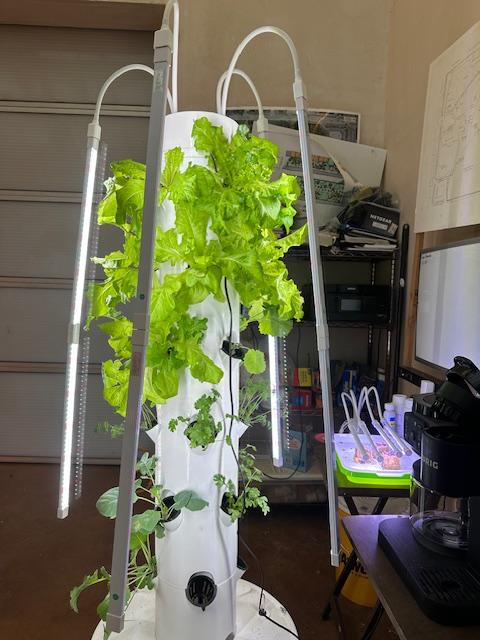 A Complete Indoor Hydroponic Garden Setup with Integrated LED Grow Lights