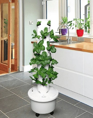 LED grow lights for seedlings