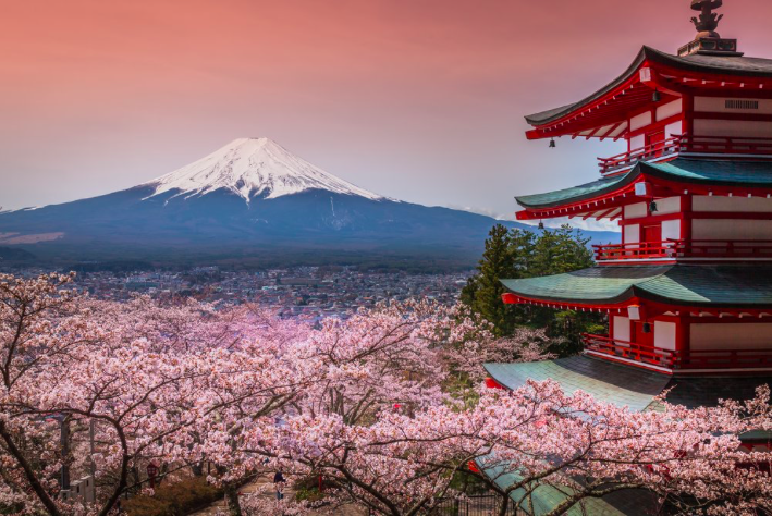How to Find the Best Tokyo Private Tour Guide for Your Trip