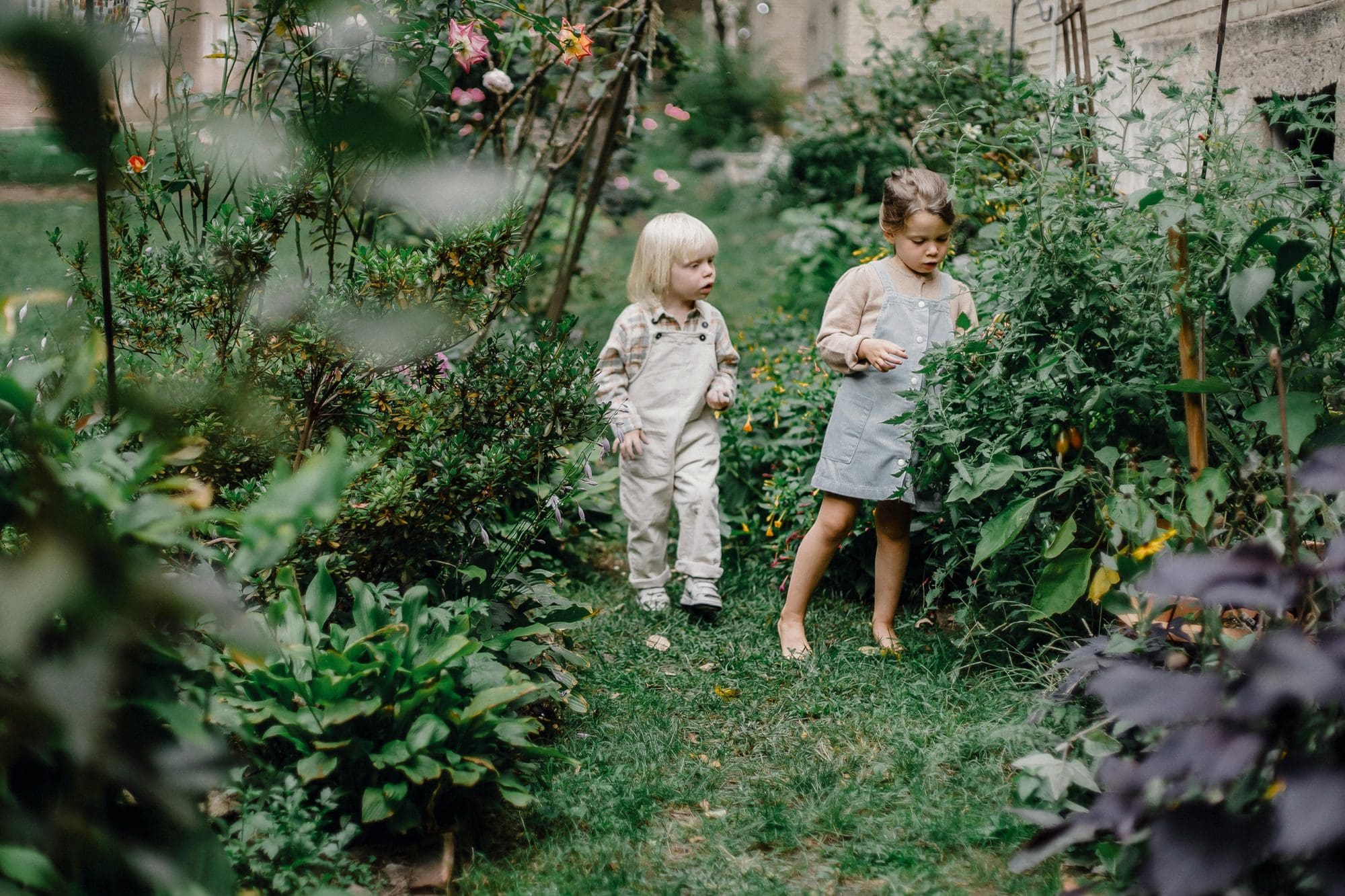 healthy snacks for kids